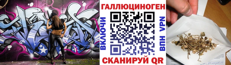 где можно купить   Белый  Псилоцибиновые грибы мицелий 